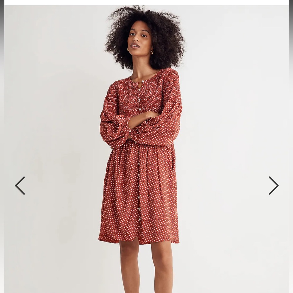 Challis Button-Front Mini Dress In Tiny Daisy - image 1